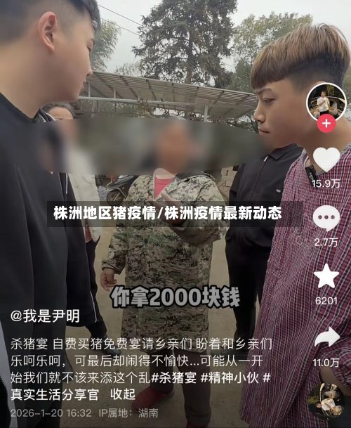 株洲地区猪疫情/株洲疫情最新动态-第2张图片