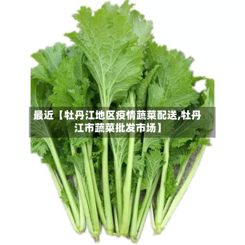 最近【牡丹江地区疫情蔬菜配送,牡丹江市蔬菜批发市场】-第2张图片