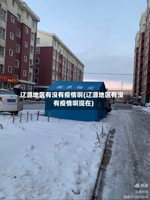 辽源地区有没有疫情啊(辽源地区有没有疫情啊现在)-第3张图片