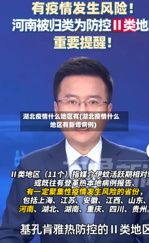 湖北疫情什么地区有(湖北疫情什么地区有新增病例)-第2张图片