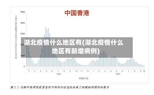 湖北疫情什么地区有(湖北疫情什么地区有新增病例)-第3张图片
