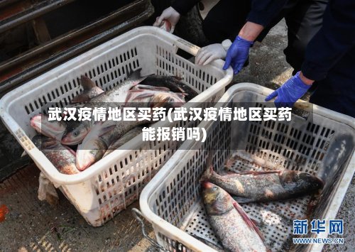 武汉疫情地区买药(武汉疫情地区买药能报销吗)