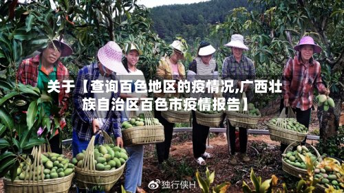 关于【查询百色地区的疫情况,广西壮族自治区百色市疫情报告】-第3张图片