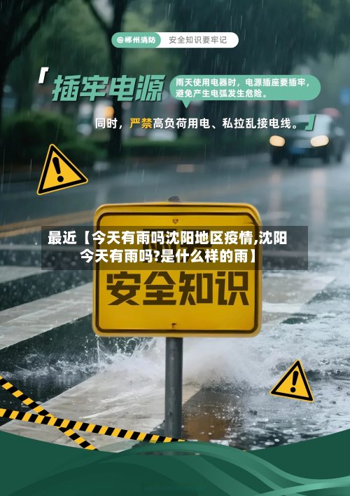 最近【今天有雨吗沈阳地区疫情,沈阳今天有雨吗?是什么样的雨】-第3张图片