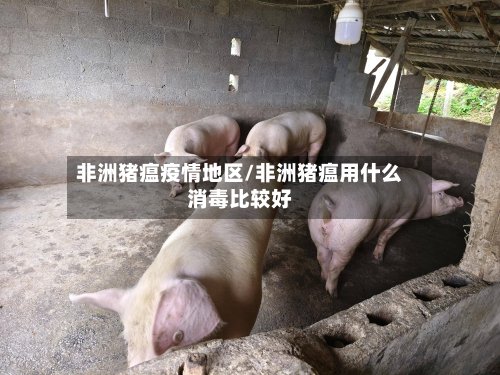非洲猪瘟疫情地区/非洲猪瘟用什么消毒比较好-第3张图片
