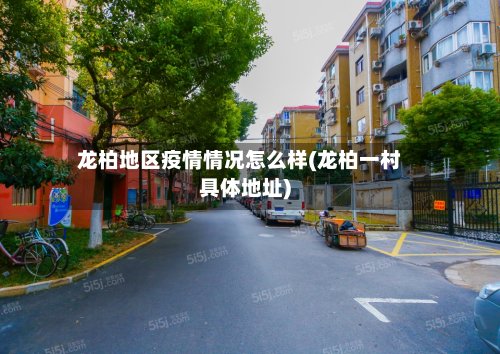 龙柏地区疫情情况怎么样(龙柏一村具体地址)
