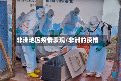 非洲地区疫情表现/非洲的疫情