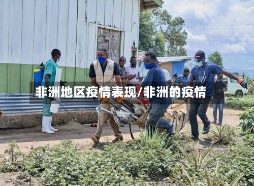 非洲地区疫情表现/非洲的疫情-第2张图片