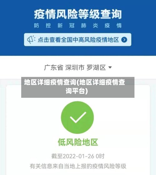 地区详细疫情查询(地区详细疫情查询平台)-第2张图片