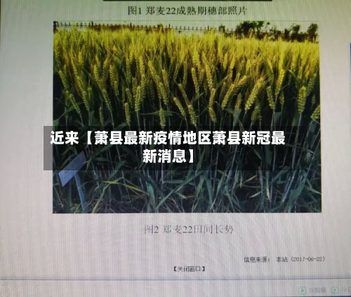 近来【萧县最新疫情地区萧县新冠最新消息】-第2张图片