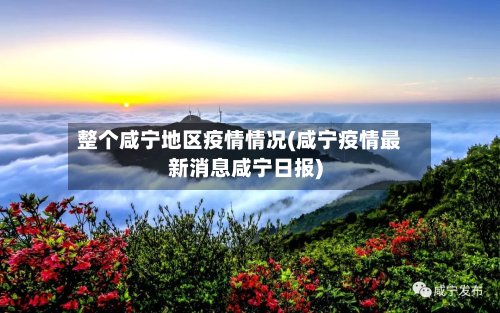 整个咸宁地区疫情情况(咸宁疫情最新消息咸宁日报)