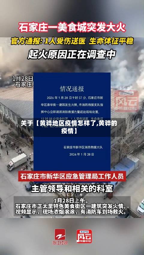 关于【黄骅地区疫情怎样了,黄骅的疫情】-第2张图片