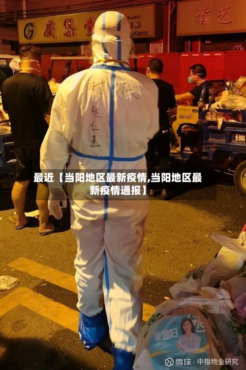 最近【当阳地区最新疫情,当阳地区最新疫情通报】-第3张图片
