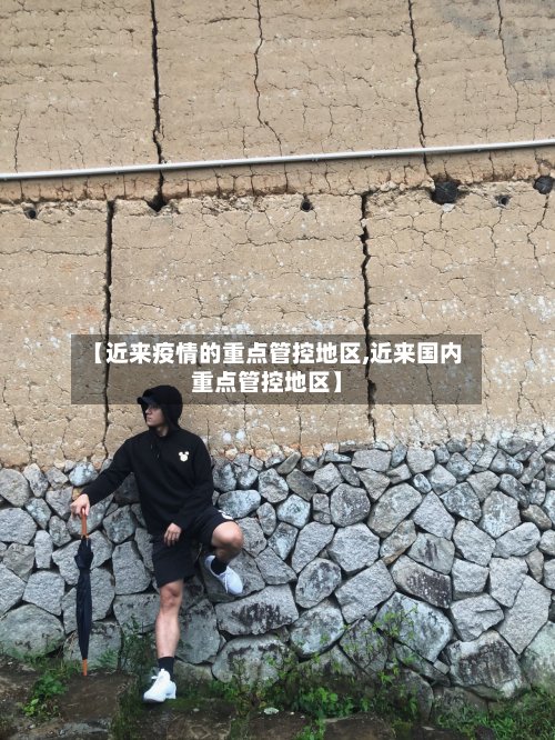 【近来疫情的重点管控地区,近来国内重点管控地区】