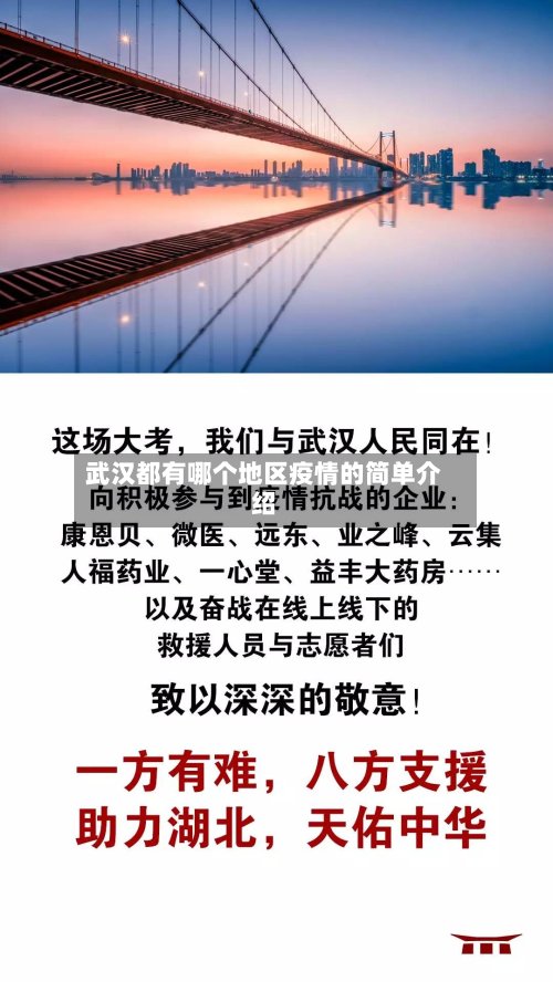 武汉都有哪个地区疫情的简单介绍-第2张图片