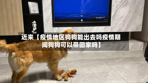 近来【疫情地区狗狗能出去吗疫情期间狗狗可以带回家吗】-第2张图片