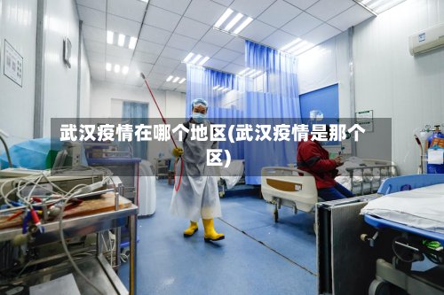 武汉疫情在哪个地区(武汉疫情是那个区)-第2张图片