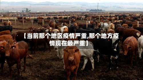 【当前那个地区疫情严重,那个地方疫情现在最严重】