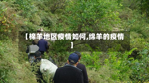 【棉羊地区疫情如何,绵羊的疫情】-第3张图片