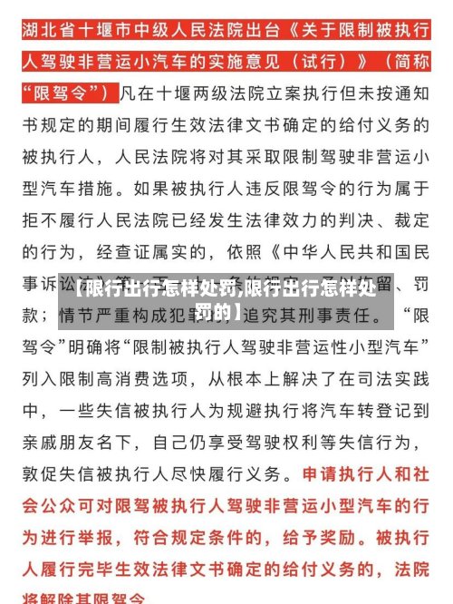 【限行出行怎样处罚,限行出行怎样处罚的】