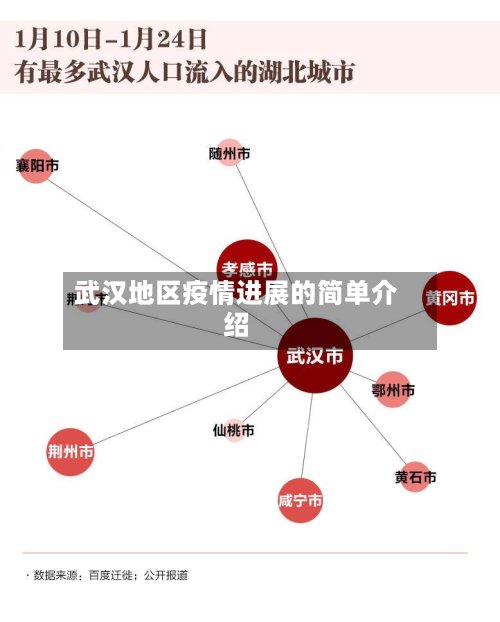 武汉地区疫情进展的简单介绍