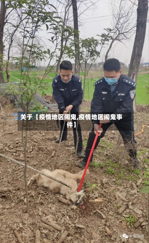 关于【疫情地区闹鬼,疫情地区闹鬼事件】-第2张图片