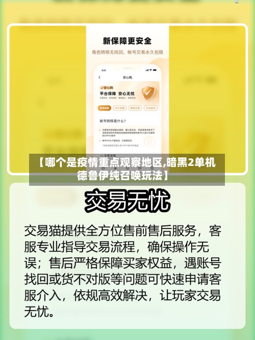 【哪个是疫情重点观察地区,暗黑2单机德鲁伊纯召唤玩法】-第3张图片