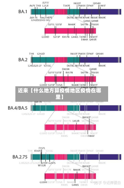 近来【什么地方算疫情地区疫情在哪里】