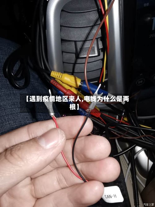 【遇到疫情地区来人,电线为什么是两根】