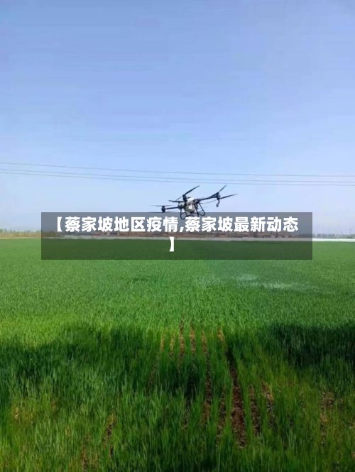 【蔡家坡地区疫情,蔡家坡最新动态】-第3张图片