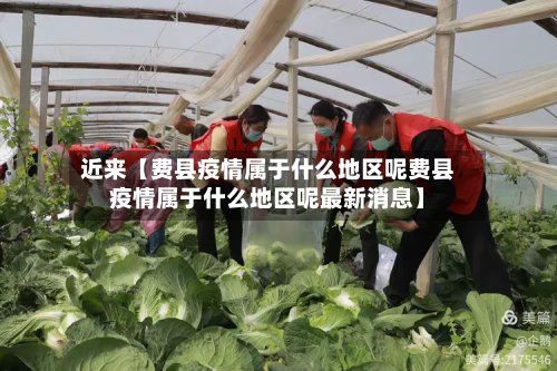 近来【费县疫情属于什么地区呢费县疫情属于什么地区呢最新消息】-第2张图片