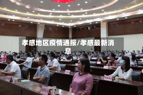 孝感地区疫情通报/孝感最新消息-第2张图片