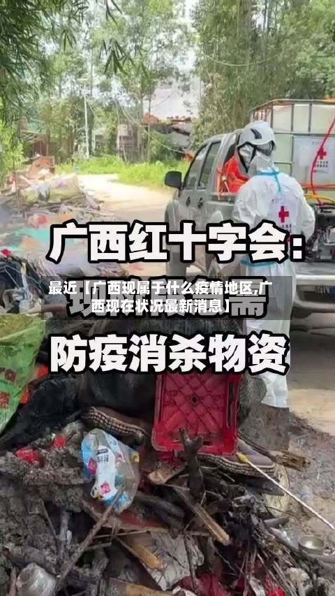 最近【广西现属于什么疫情地区,广西现在状况最新消息】-第2张图片