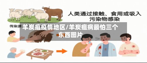 羊炭疽疫情地区/羊炭疽病最怕三个东西图片