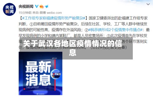 关于武汉各地区疫情情况的信息-第3张图片