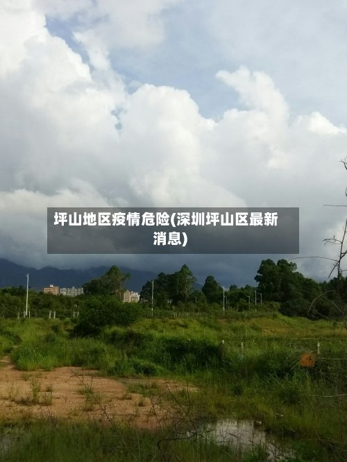 坪山地区疫情危险(深圳坪山区最新消息)-第2张图片