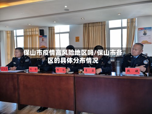 保山市疫情高风险地区吗/保山市各区的具体分布情况-第2张图片