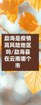 勐海是疫情高风险地区吗/勐海县在云南哪个市-第3张图片
