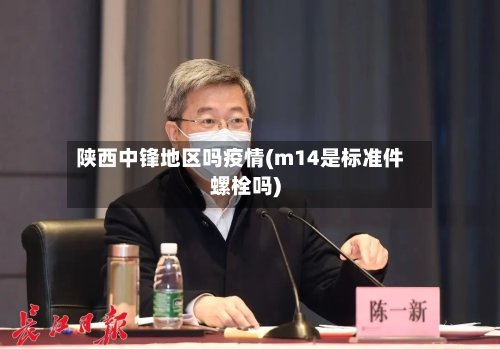 陕西中锋地区吗疫情(m14是标准件螺栓吗)-第2张图片