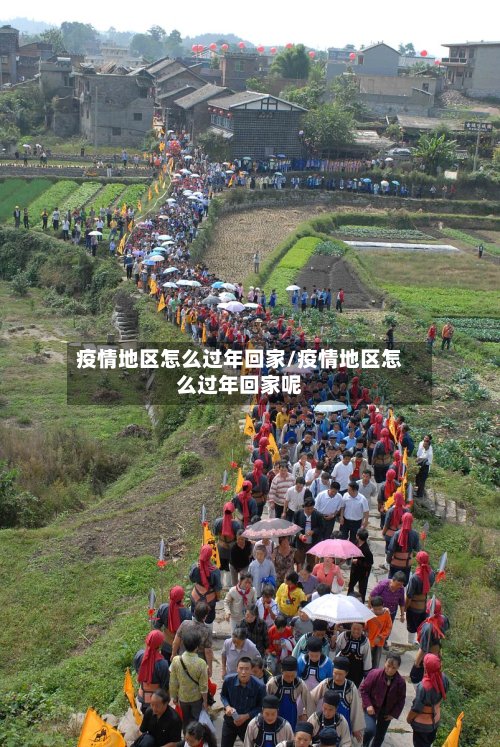疫情地区怎么过年回家/疫情地区怎么过年回家呢