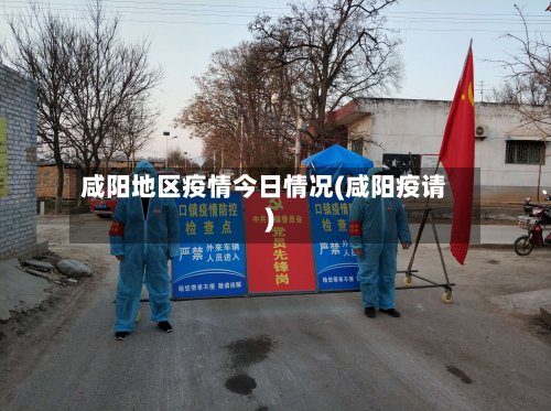 咸阳地区疫情今日情况(咸阳疫请)-第2张图片