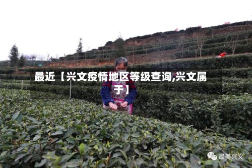 最近【兴文疫情地区等级查询,兴文属于】