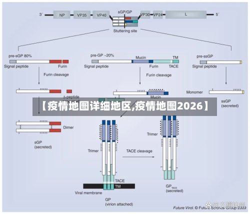 【疫情地图详细地区,疫情地图2026】