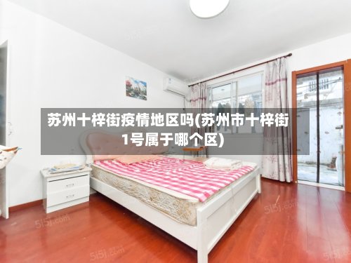 苏州十梓街疫情地区吗(苏州市十梓街1号属于哪个区)-第3张图片