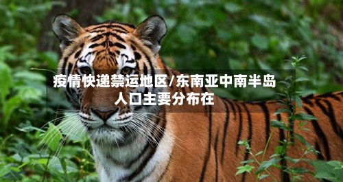 疫情快递禁运地区/东南亚中南半岛人口主要分布在-第3张图片