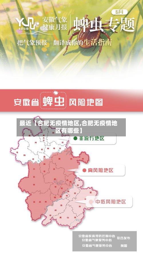 最近【合肥无疫情地区,合肥无疫情地区有哪些】-第3张图片