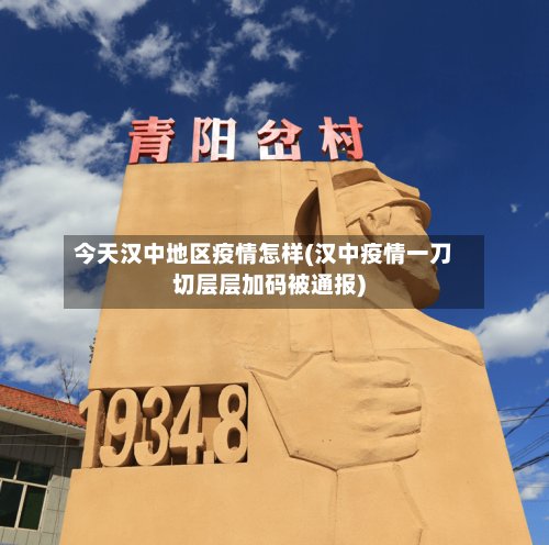 今天汉中地区疫情怎样(汉中疫情一刀切层层加码被通报)-第2张图片