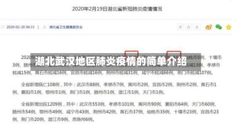湖北武汉地区肺炎疫情的简单介绍