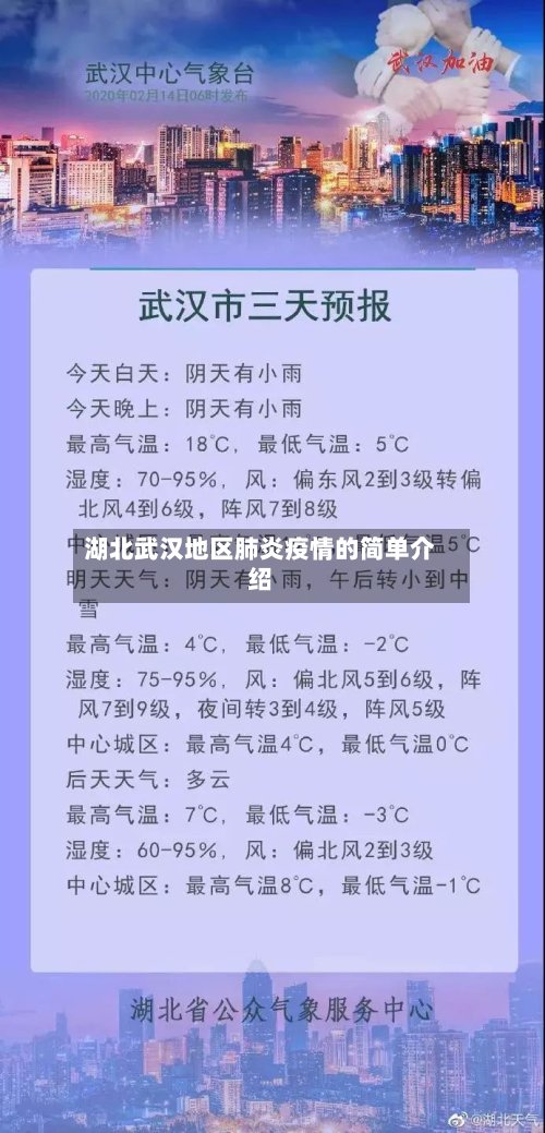 湖北武汉地区肺炎疫情的简单介绍-第3张图片