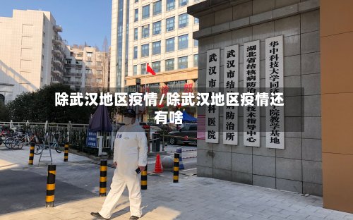 除武汉地区疫情/除武汉地区疫情还有啥-第2张图片